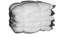 232908